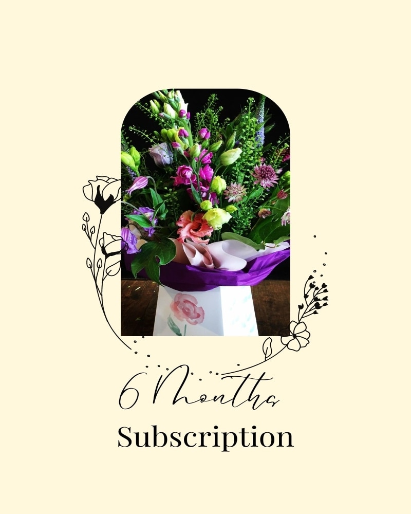 Pay Now or Monthly-6 Flowers