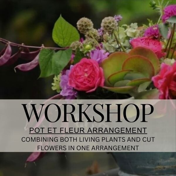Pot et Fleur Workshop Wednesday 15th May 2024 6pm-8pm Gifts