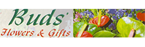 Buds - Logo