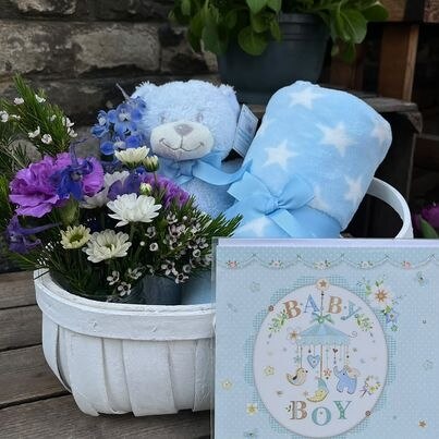 Baby Boy Gift Set Gift Basket