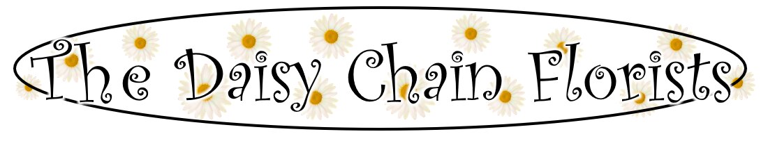 The Daisy Chain Florists Logo