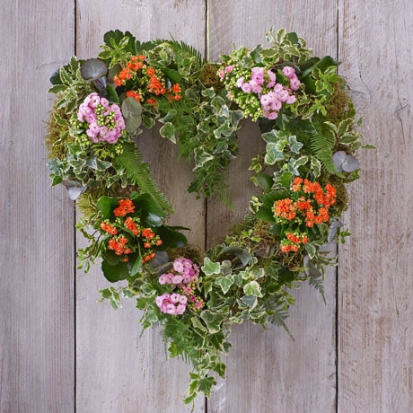 Living Plant Wreath size,  inches height and  inches wide.
