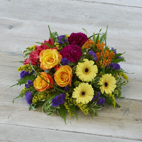 Bold Brights Posy size,  inches height and  inches wide.
