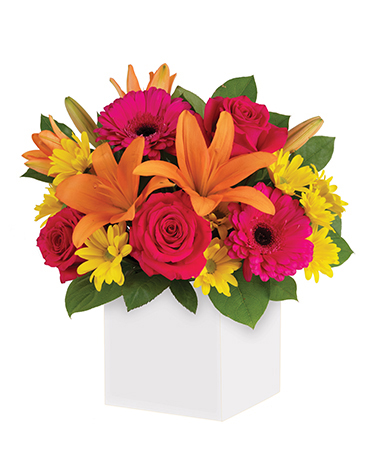 Starburst Splash Flower Arrangement