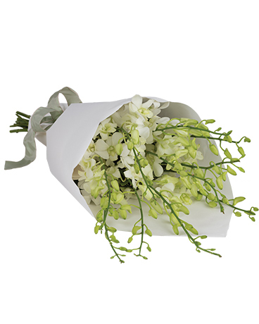 Orchid Surprise Flower Arrangement