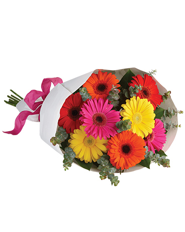 Gerbera Brights Flower Arrangement