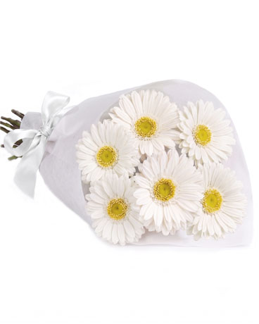 Cloud Nine Flower Arrangement