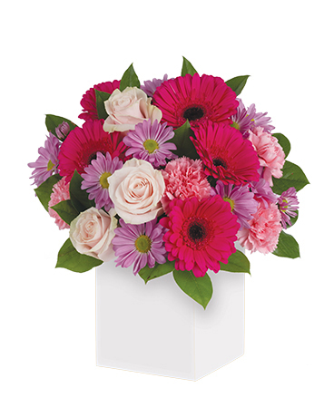 Sweet Dreams Flower Arrangement