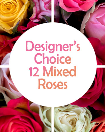 Designers Choice 12 mixed colour rose bouquet Floral Arrangement fast delivery