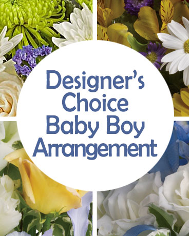 DC Baby Boy Arrangement  Flower Arrangement