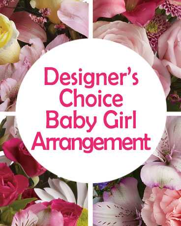 DC Baby Girl Arrangement  Flower Arrangement