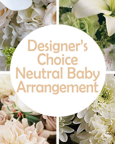 DC Neutral New Baby Arrangement Flower Arrangement