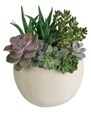 Tirari Beauty Flower Arrangement