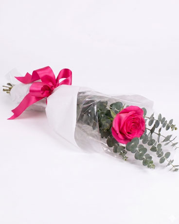 Hot Pink size,  inches height and  inches wide.