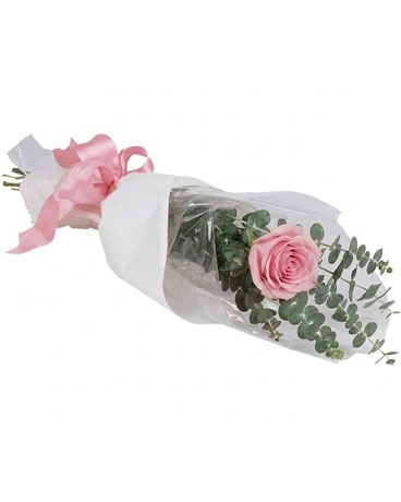 Mid Pink size,  inches height and  inches wide.