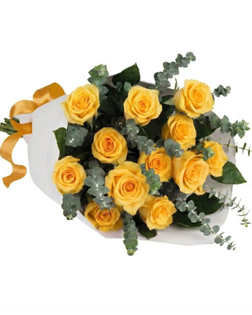 Yellow size,  inches height and  inches wide.