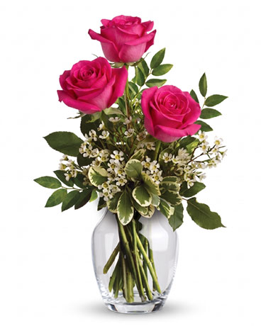 Hot Pink size,  inches height and  inches wide.