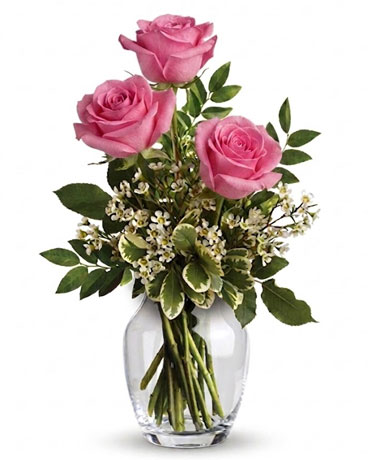 Mid Pink size,  inches height and  inches wide.