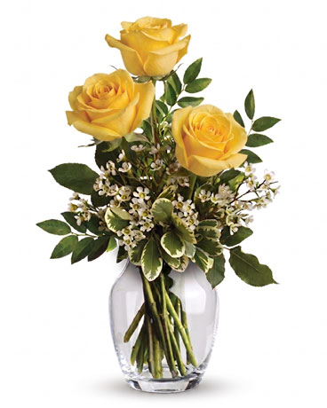 Yellow size,  inches height and  inches wide.