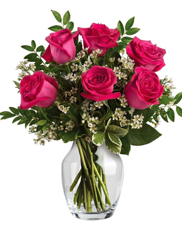 Hot Pink size,  inches height and  inches wide.