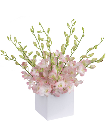 Allegra Flower Arrangement