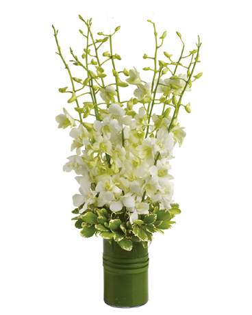Absolute Serenity Flower Arrangement