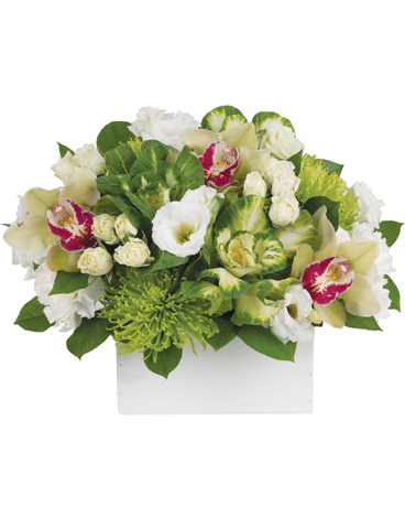 Kalena Flower Arrangement