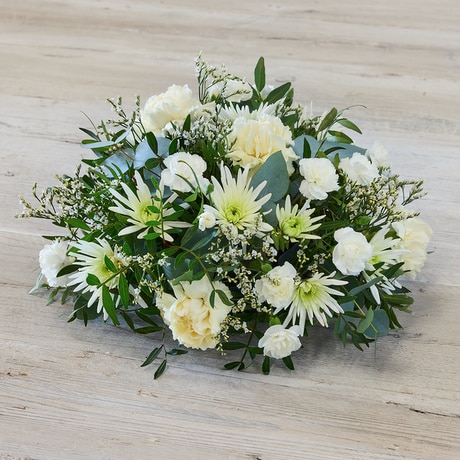 White Standard size,  inches height and  inches wide.