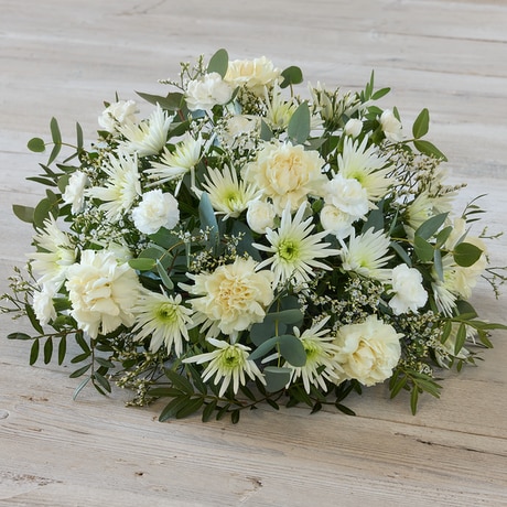 White Extra Large size,  inches height and  inches wide.