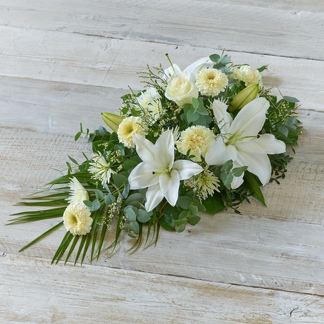 White Standard size,  inches height and  inches wide.