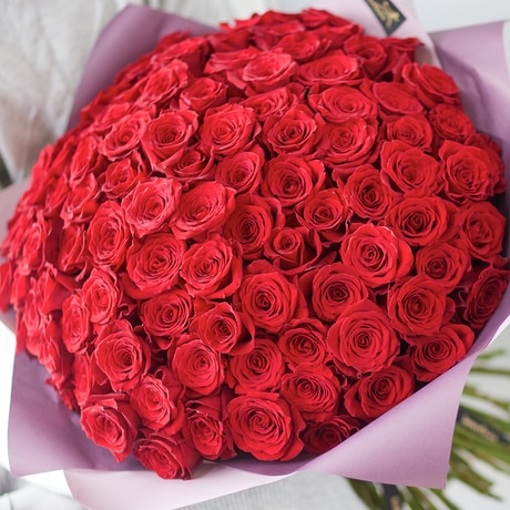 100 Large-headed Red Rose Grand Gesture size,  inches height and  inches wide.