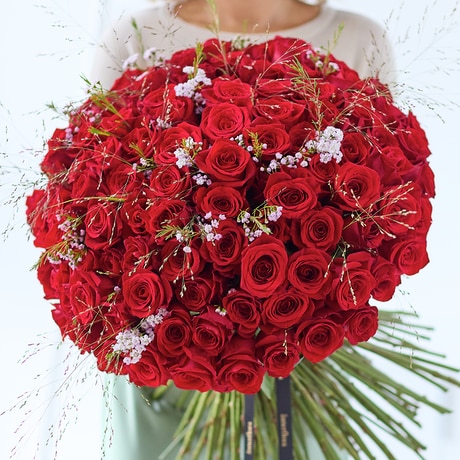 100 Red Roses size,  inches height and  inches wide.