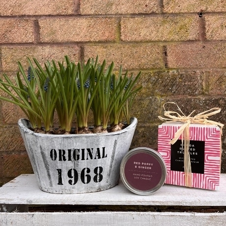 Potted Muscari Plant, Candle and Chocolates Gift Set Gifts