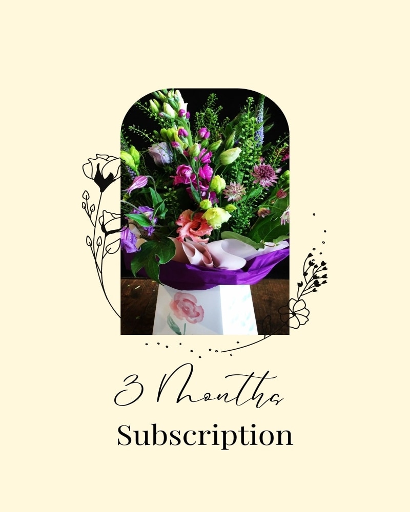 Pay Now or Monthly-3 Flowers