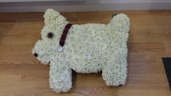 Dog Tribute Funeral Arrangement