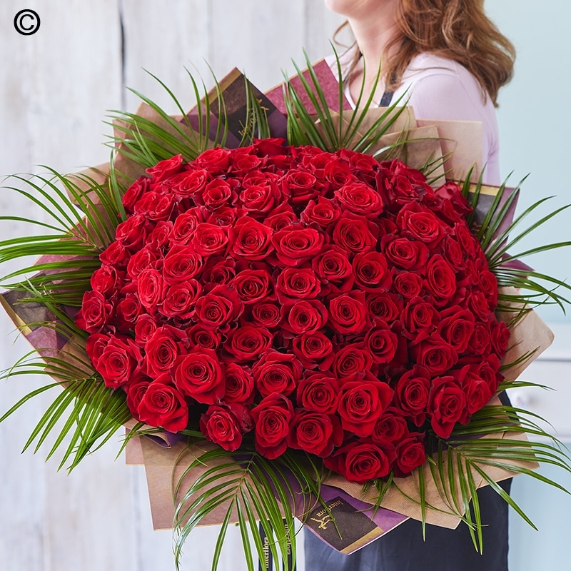 100 Red Rose hand-tied bouquet size,  inches height and  inches wide.