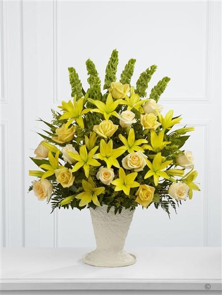 Extra Large size,  inches height and  inches wide.