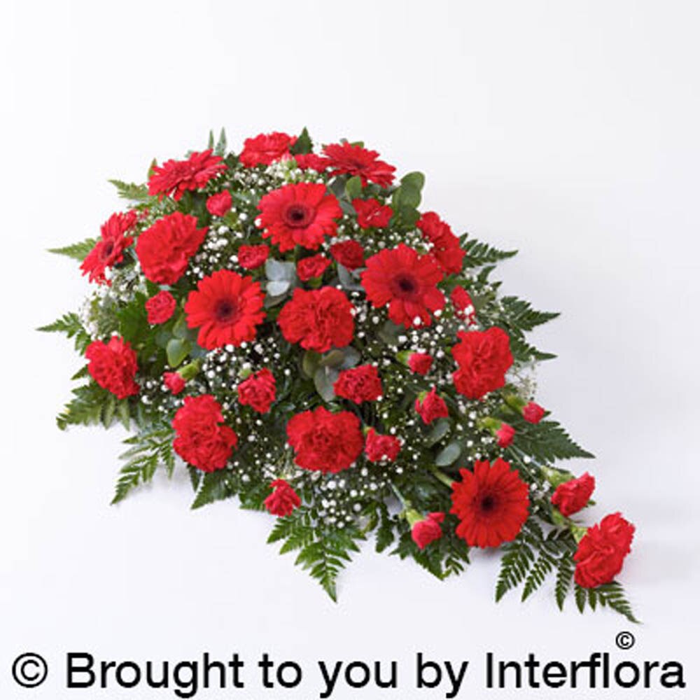 Carnation and Germini Spray Red Flower Arrangement