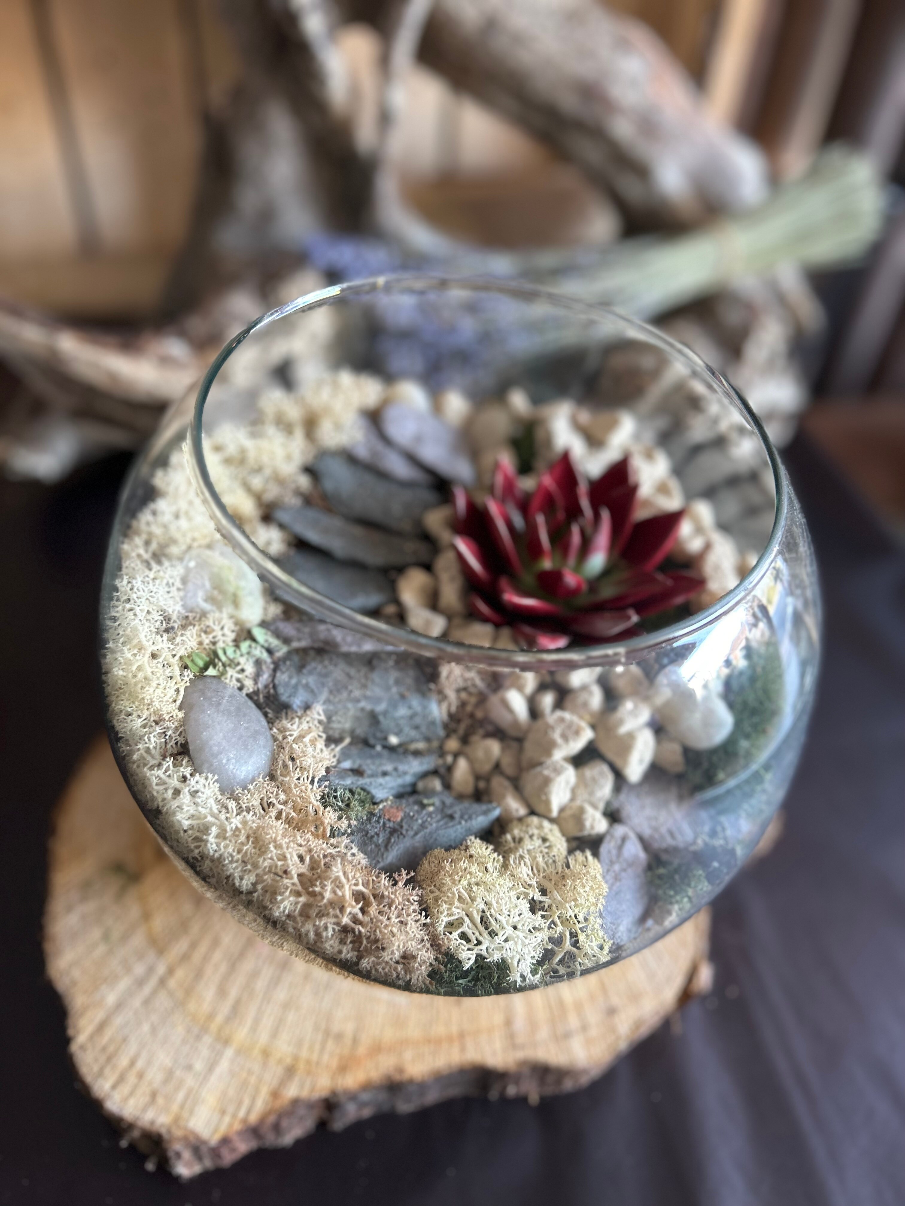 Fish Bowl Terrariums Succulent with Stone Steps Gifts