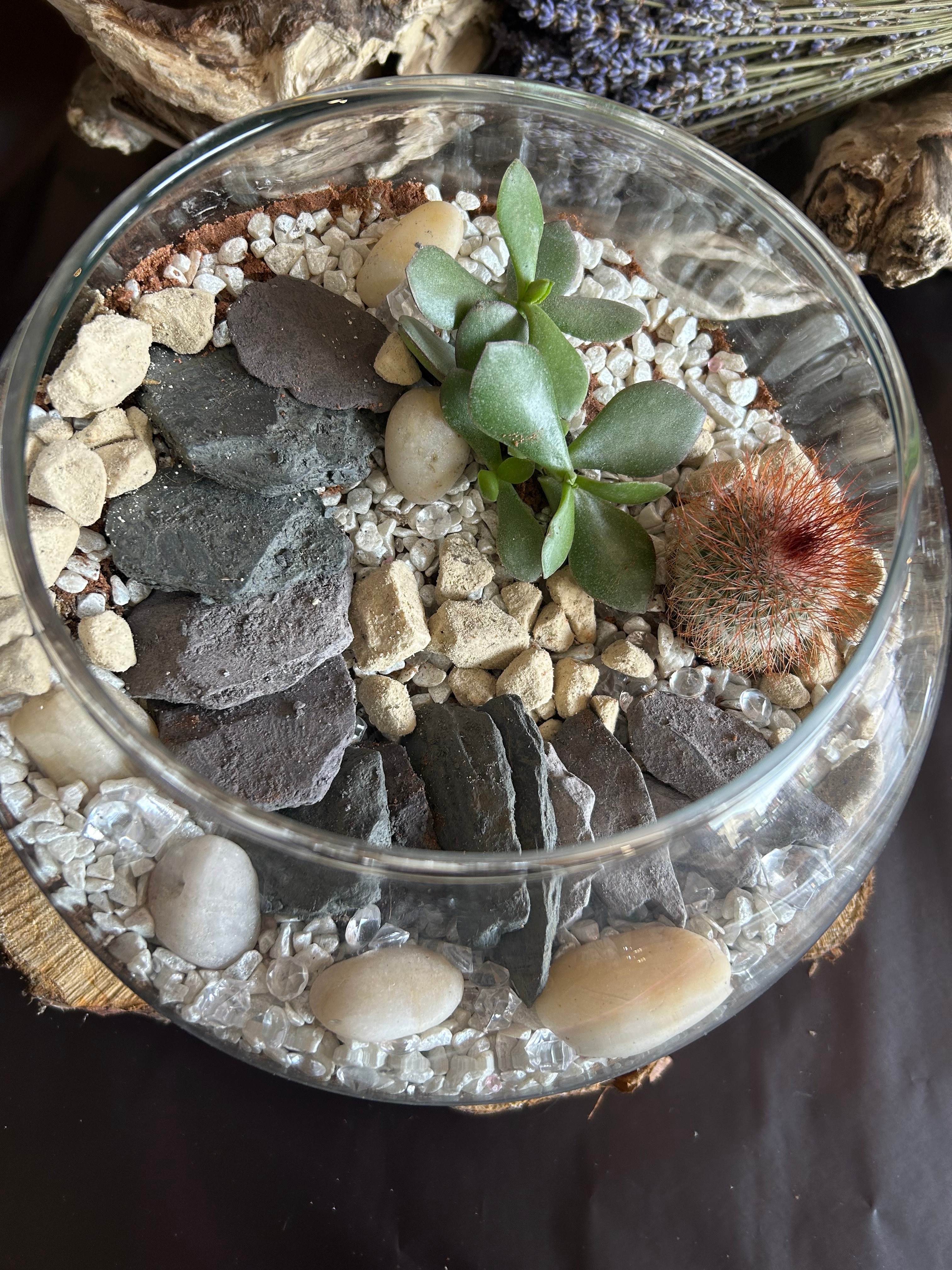 Fishbowl Glass Terrarium with Cacti Flower Arrangement