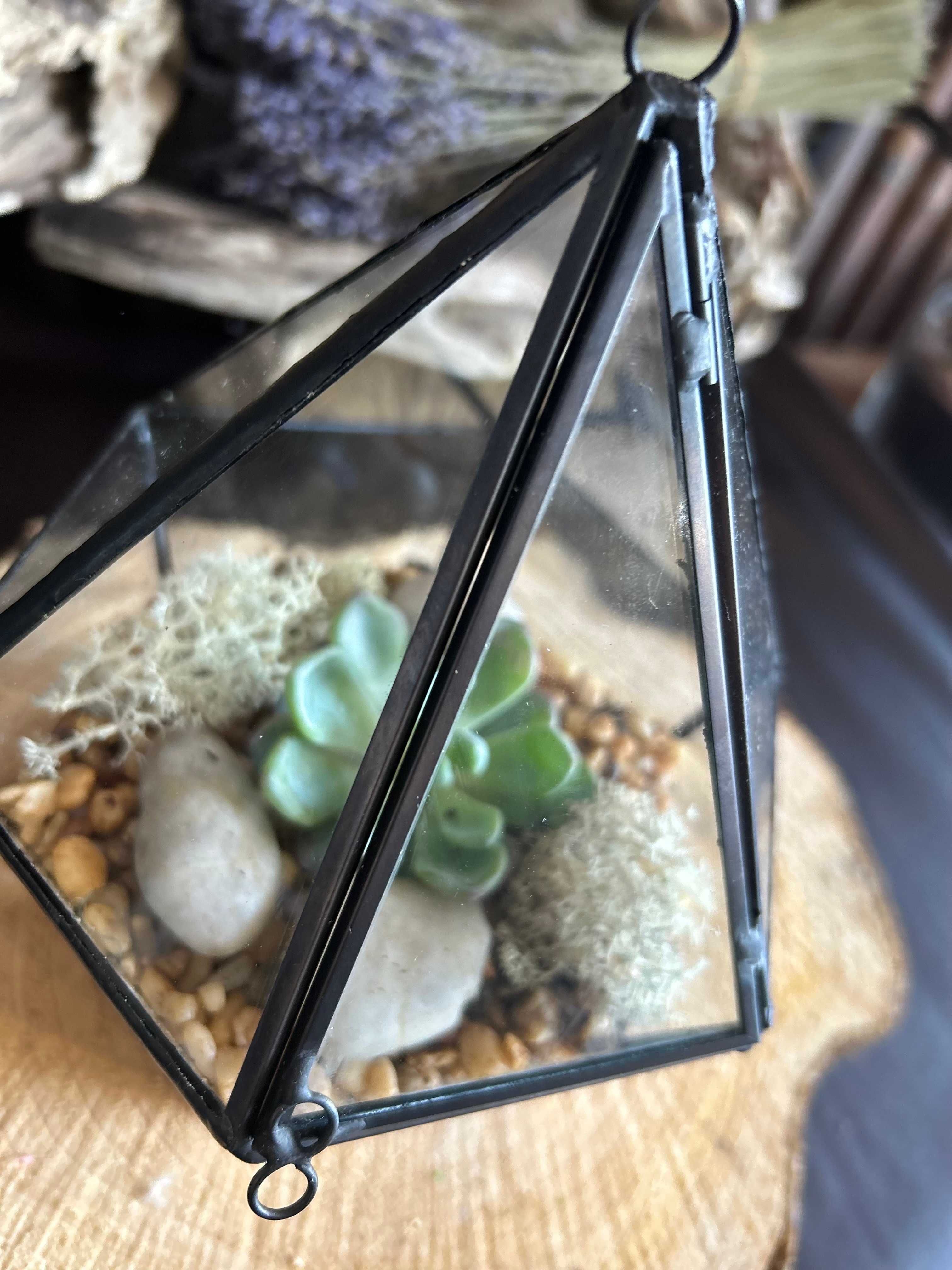 Black Edge Geometric Triangle Terrarium Gifts