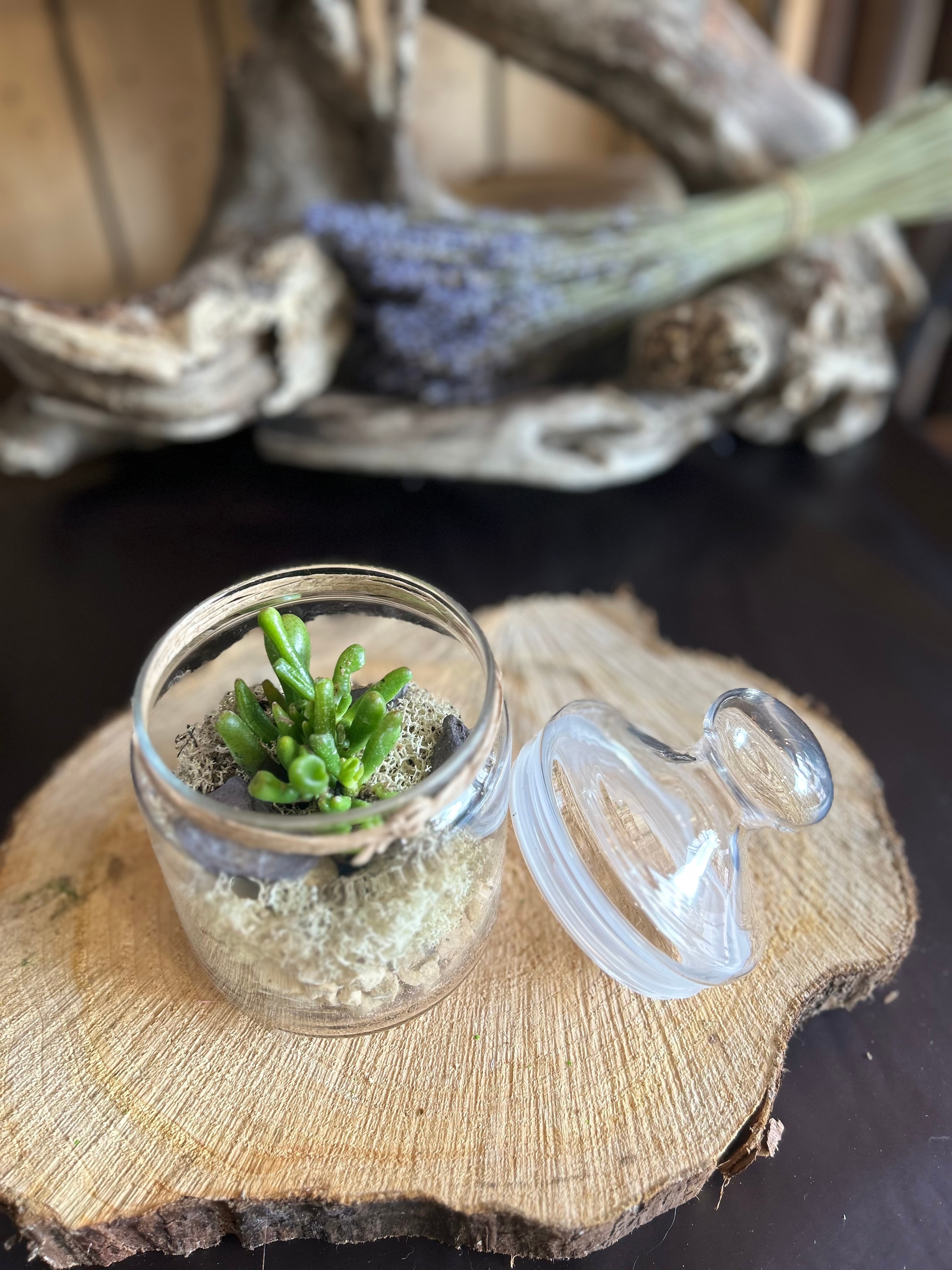 Glass Jar Terrarium Flower Arrangement