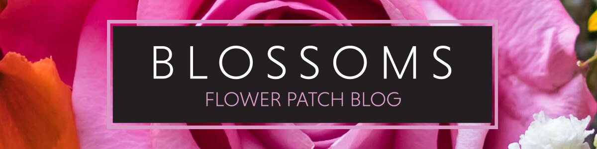 Flower Patch Blog