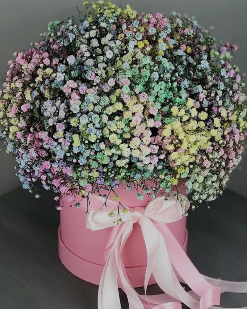Rainbow Gypsophila Hatbox in Rishton Lancashire - Ruby Lily Rose Floral ...