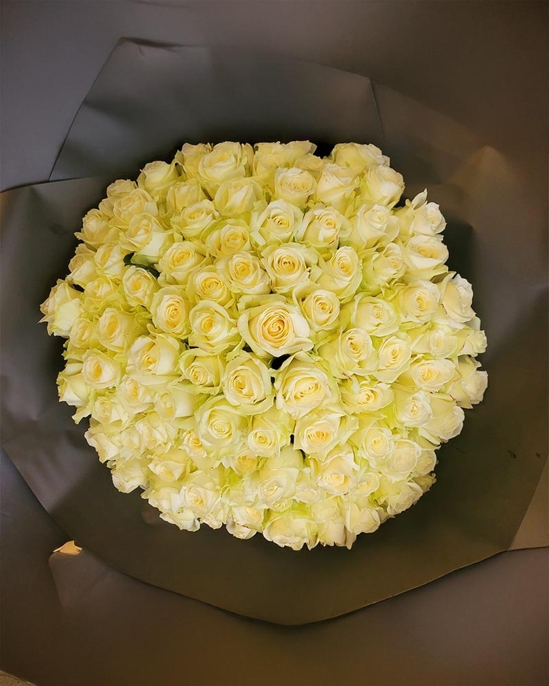100 White Roses size,  inches height and  inches wide.