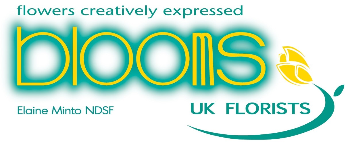 Blooms, Elaine Minto - Logo