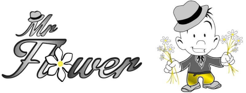 Mr Flower - Logo