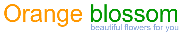 Orange Blossom - Logo