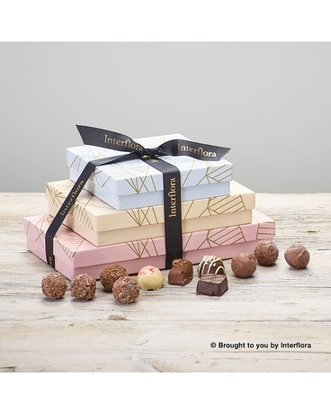 Trio of Chocolates Gift Set Gifts