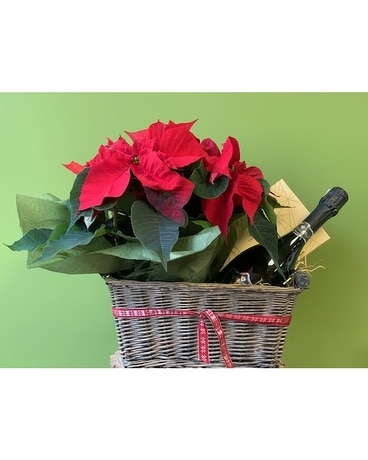 Luxury Red Poinsettia, Chocolates, NUA Prosecco Gift Basket